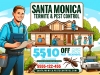 Los Angeles Termite Infestation: A Hidden Threat to Your Property