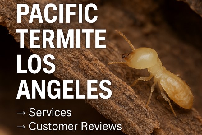 Pacific Termite Los Angeles
