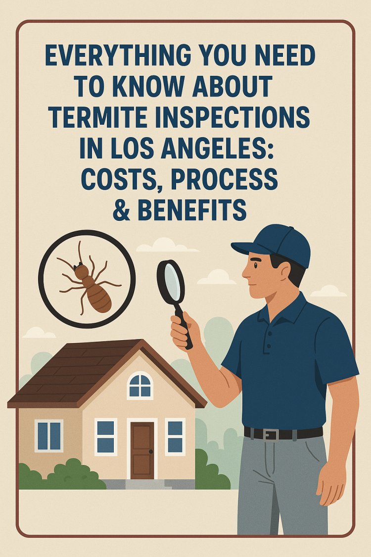 Professional Termite Inspection in Los Angeles – Protect Your Home Today