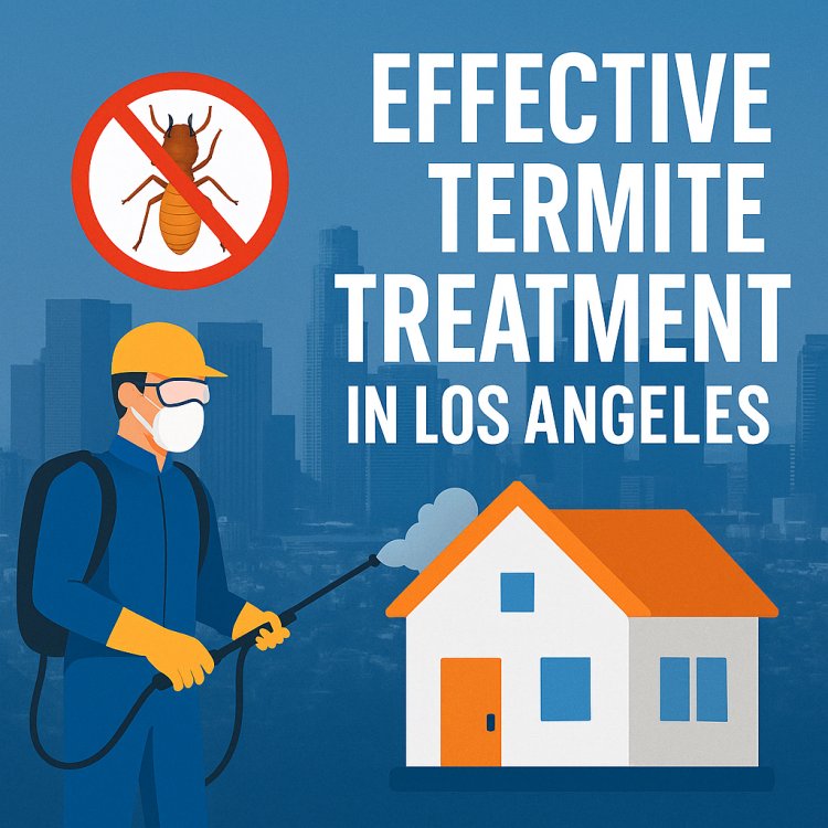 Effective Termite Treatment in Los Angeles