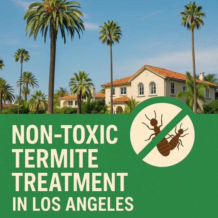 Non-Toxic Termite Treatment Los Angeles