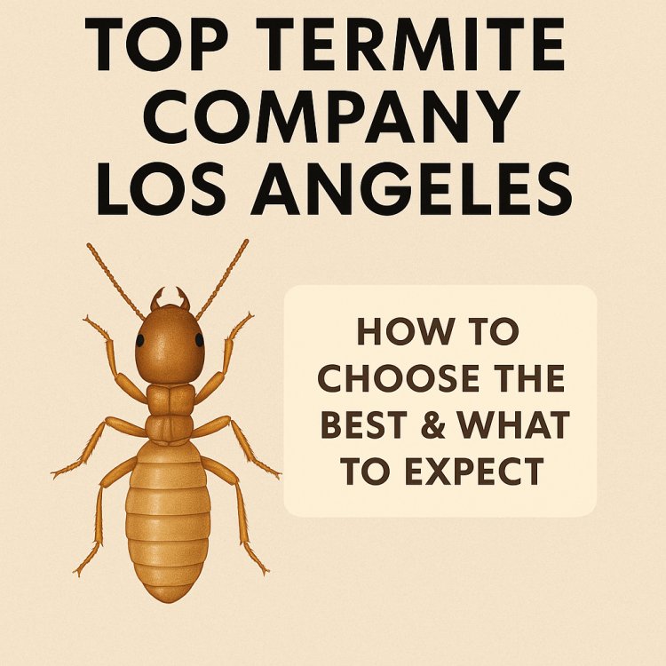 Top Termite Company in Los Angeles