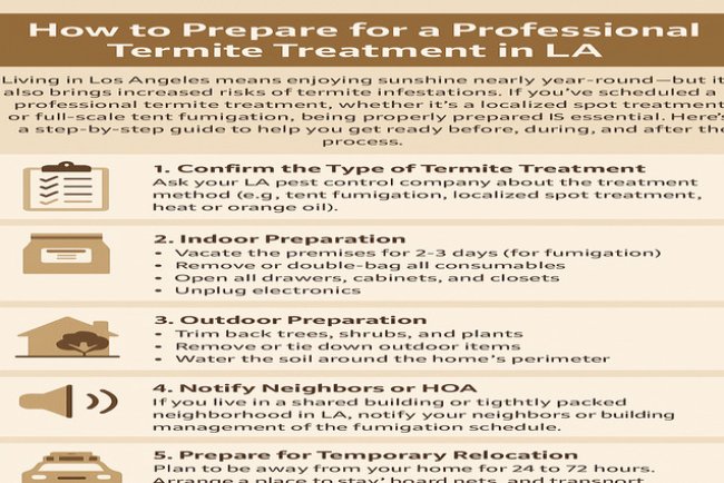 How to Prepare for a Professional Termite Treatment in LA
