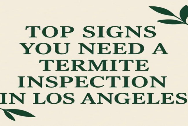 Top Signs You Need a Termite Inspection in Los Angeles