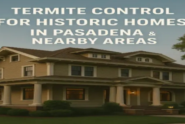 Termite Control for Historic Homes in Pasadena & Nearby Areas