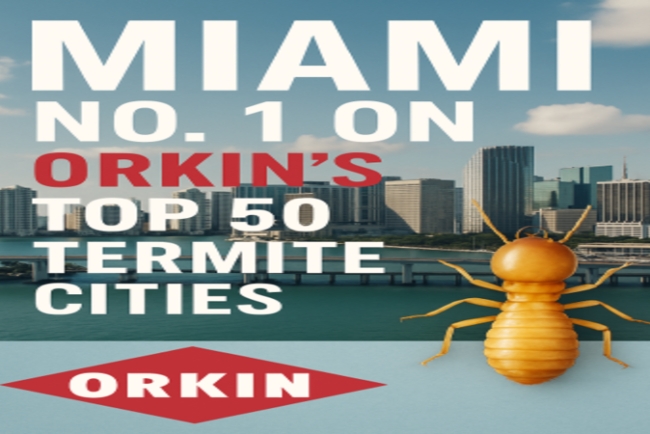 Miami No. 1 on Orkin's Top 50 Termite Cities