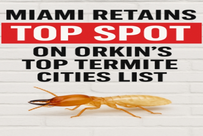 Miami Retains Top Spot on Orkin's Top Termite Cities List