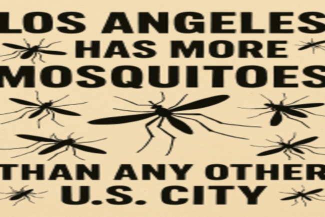 Data: Los Angeles has more mosquitoes than any other U.S. city
