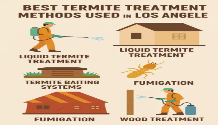 Best Termite Treatment Methods Used in Los Angeles