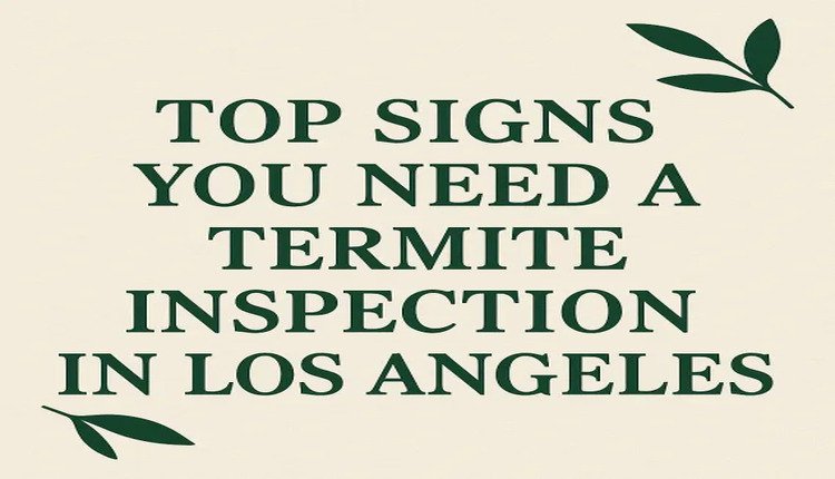 Top Signs You Need a Termite Inspection in Los Angeles
