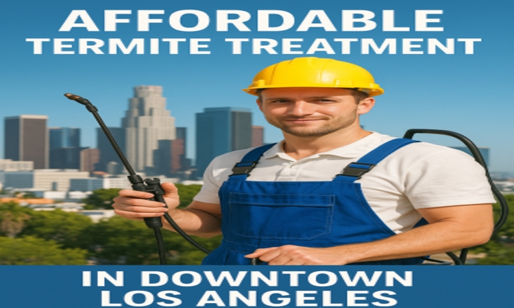Affordable Termite Treatment in Downtown Los Angeles