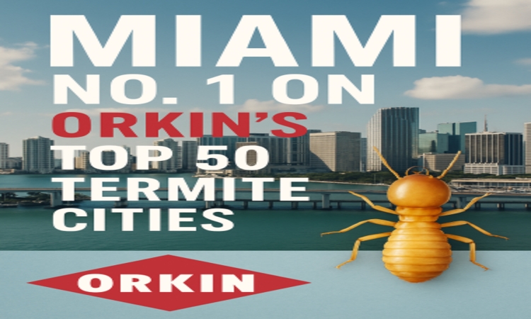 Miami No. 1 on Orkin's Top 50 Termite Cities
