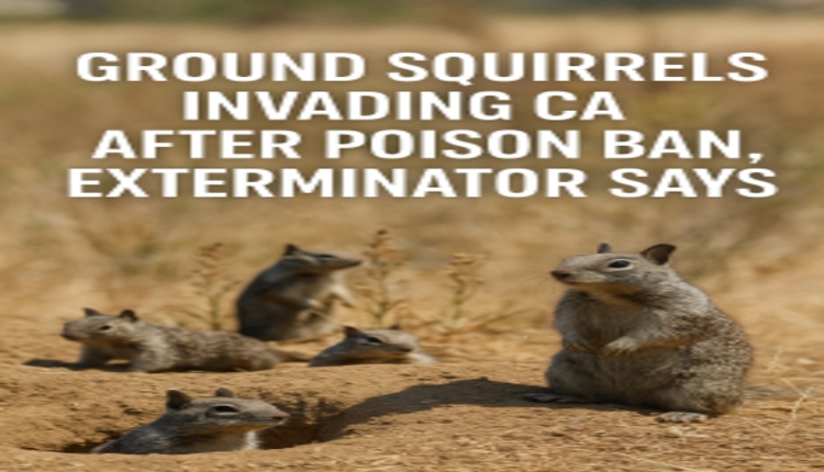 Ground Squirrels Invading CA After Poison Ban, Exterminator Says