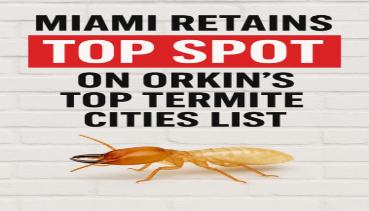 Miami Retains Top Spot on Orkin's Top Termite Cities List
